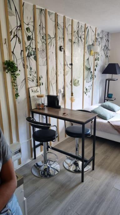 Hsh France Location Disney Land Paris - Suite Nicolas - Appartement De Charme Bussy-Saint-Georges Bagian luar foto